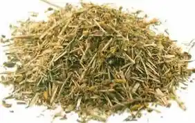 Yerba de san juan