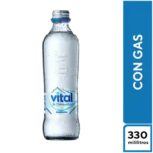 Agua Vital Gasificada 330 Cc