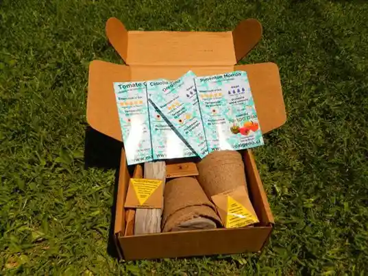 Kit de cultivo orgánico