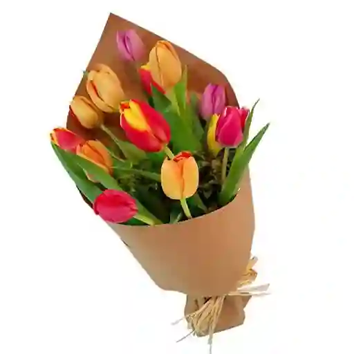Ecológico - Ramo De Tulipanes -