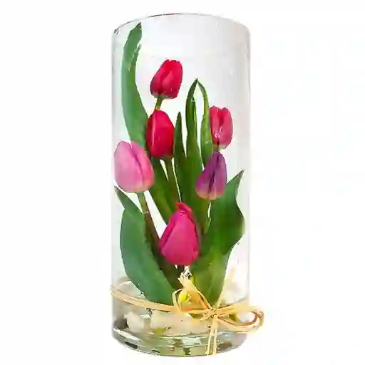 Minimal - Florero Cilindro Con Tulipanes