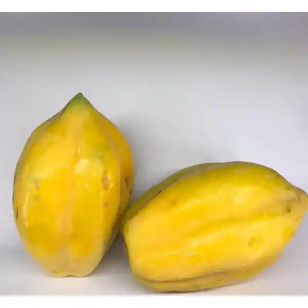 Papaya