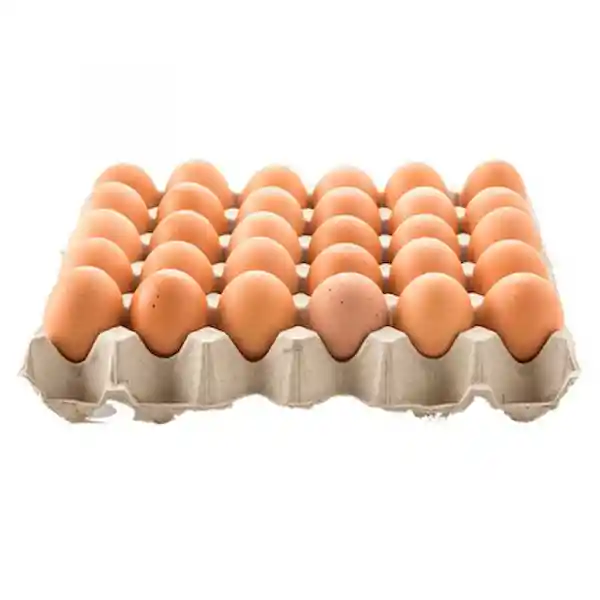 Huevos Color Primera