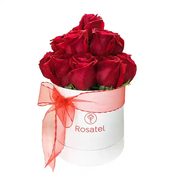 Sombrerera Blanca Con 18 Rosas Rojas Y Cinta