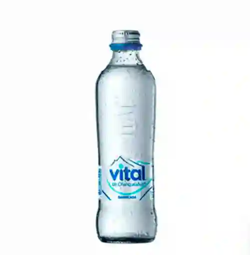 Vital Con Gas 600 ml