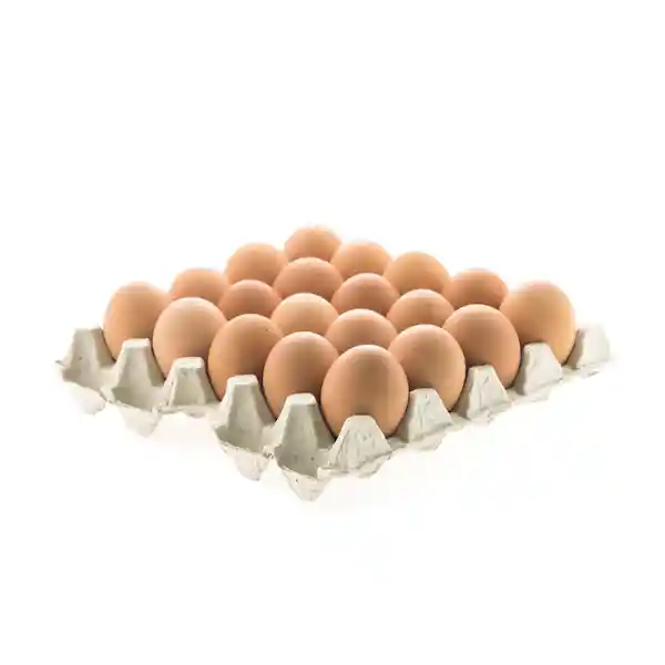 Huevo Gallina Libre