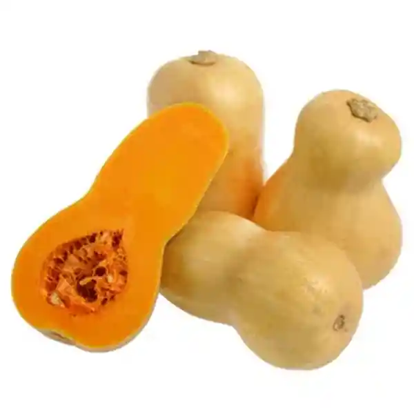 Zapallo Butternut