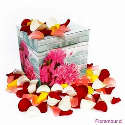 Caja de Pétalos de Rosas Multicolor