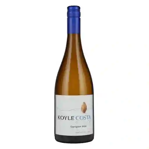 Koyle Cuarzo Sauvignon Blanc