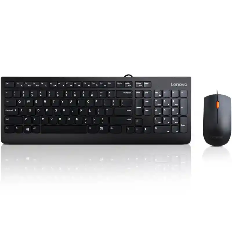 Lenovo Teclado Y Mouse Usb 300