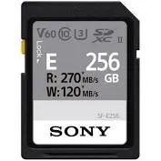 Memoria SF-E256/T1 UL 256GB
