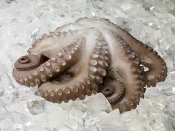 Pulpo Crudo