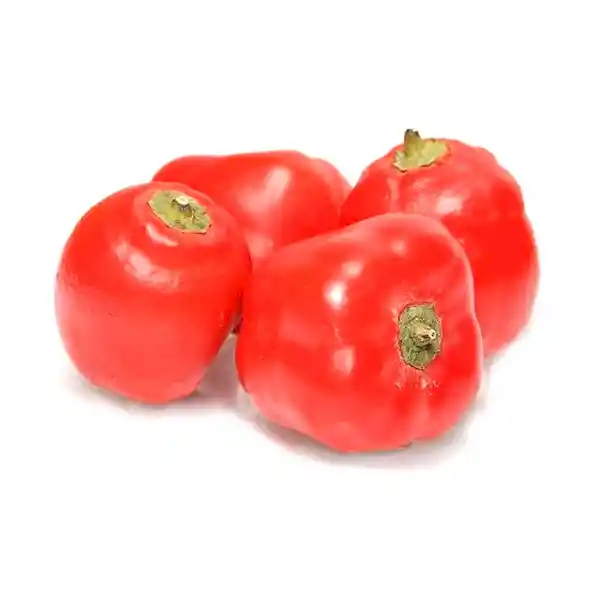 Rocoto