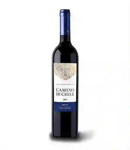 Vino Camino de Chile Merlot