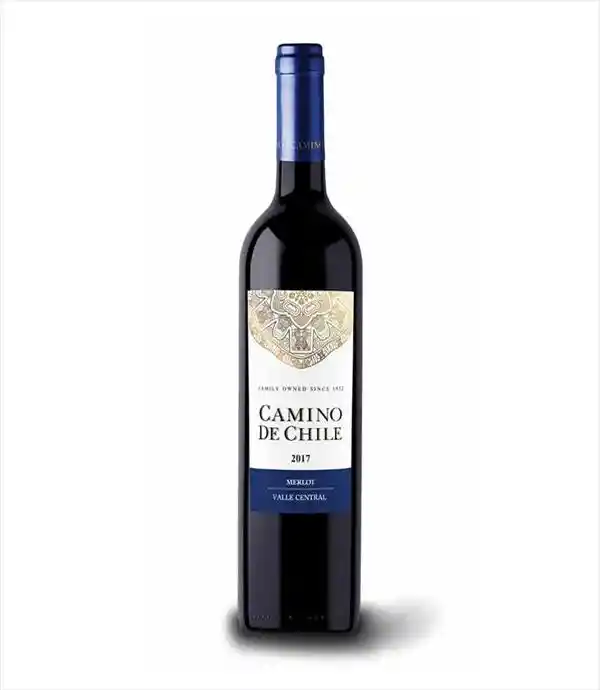 Vino Camino de Chile Merlot