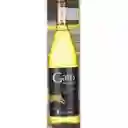 Gato Vino Varietal Chardonnay