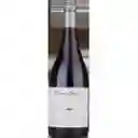 Cono Sur Vino C 14 G R Pinot Noir