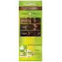 Nutrisse Kit Coloracion En Crema N° 53 Cafe Amaretto Con Conce