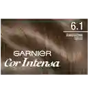 Garnier-Cor Intensa Tinte Capilar 6.1 Rubio Oscuro Cenizo