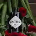 Hendricks Ginebra Premium