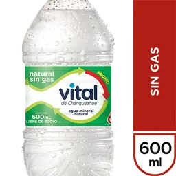 Vital Agua Mineral sin Gas