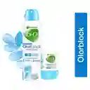 Garnier-Bi-O Desodorante Olorblock 2 en Aerosol