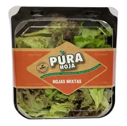 Pura Hoja Pote Hojas Mixtas