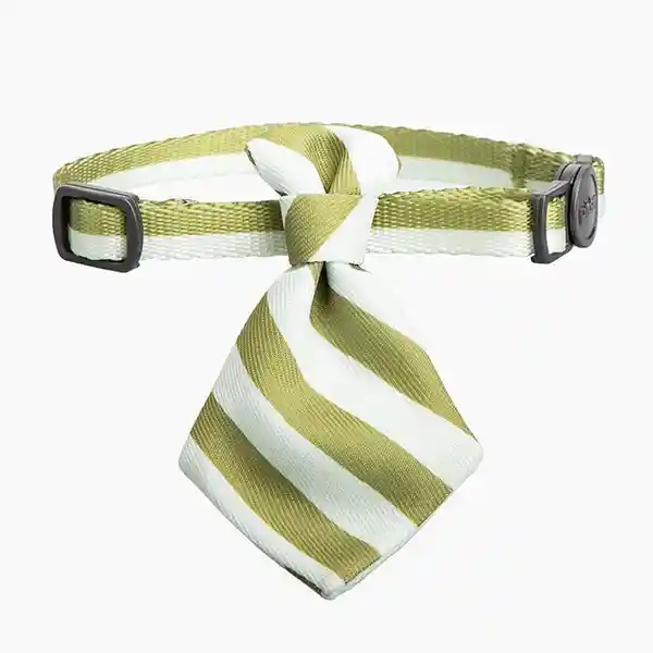 Pidan Cuello Para Gato Verde Oliva