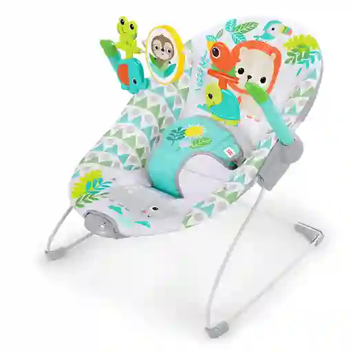 Bright Starts Silla Spinnin Vibrating Bouncer