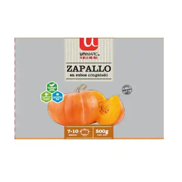 Zapallo En Cubos Congelado