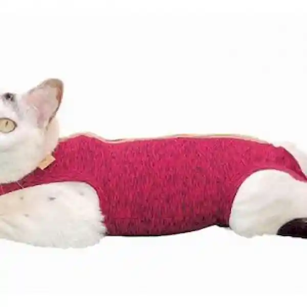 Pet Med Ropa Post Quirúrgica Para Gatos Talla 4