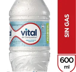 Vital sin Gas 600 ml