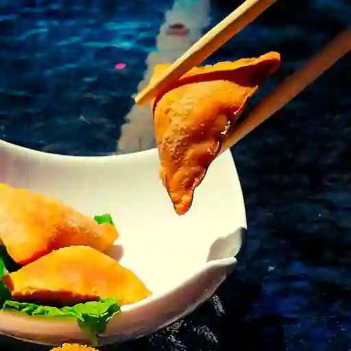 Empanadas Carne Mongoliana