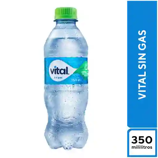 Vital Sin Gas 350 ml
