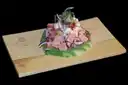 Ceviche de Pescado