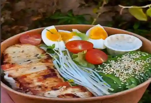 Salad Pollo