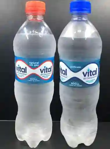 Agua Vital