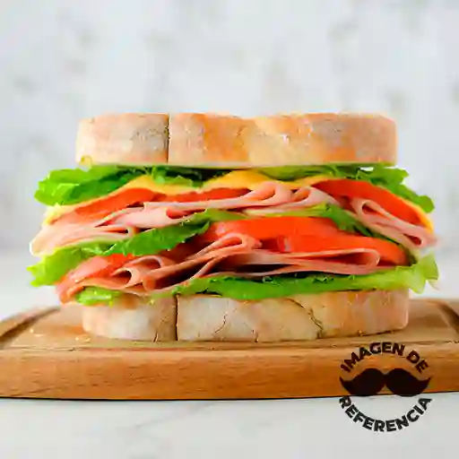 Sandwich Aconcagua