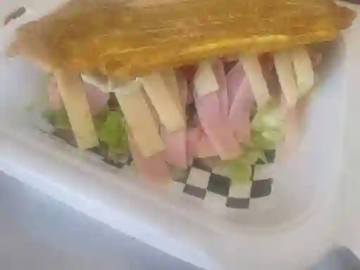 Patacon Verde O Amarillo Sencillo