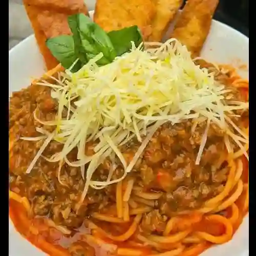 Bolognesa