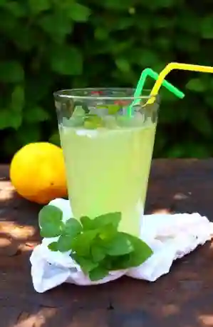 Limonada Menta Jengibre 350 ml