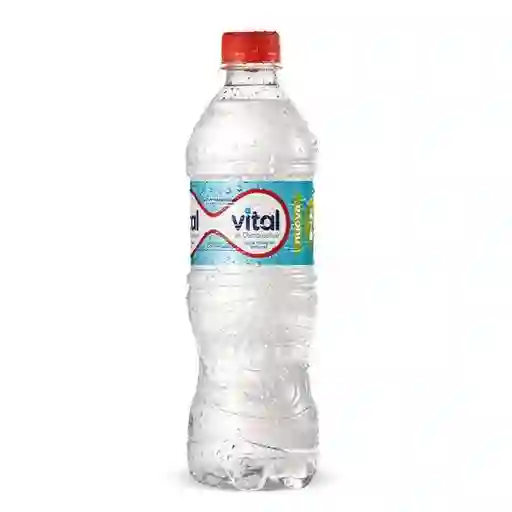 Vital sin Gas 600Ml