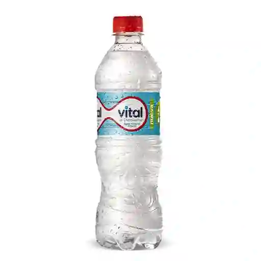 Vital Sin Gas 600ml