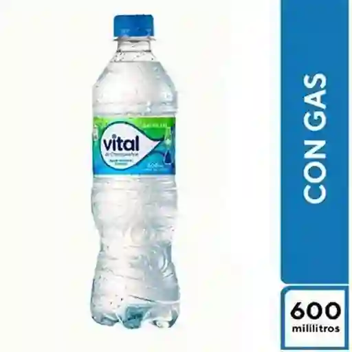 Agua Mineral con Gas 500 ml