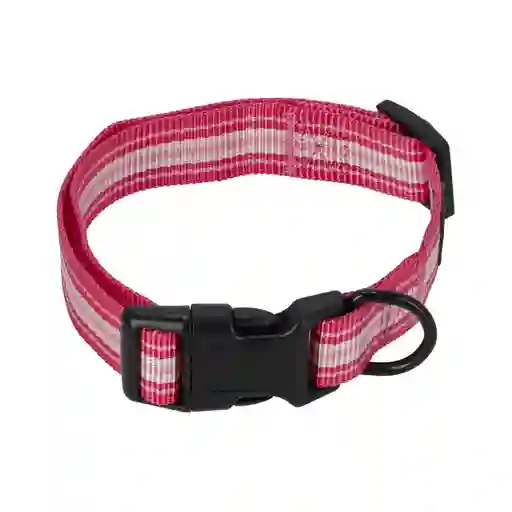 Collar Cinta Ajustable Para Perro M