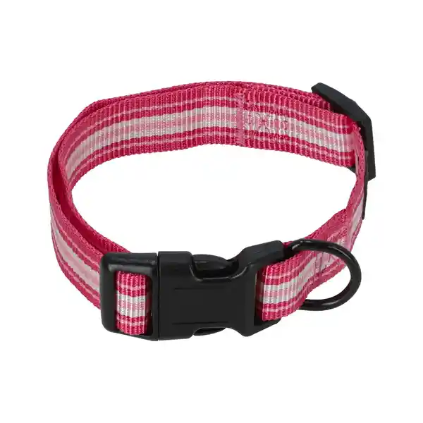 Collar Cinta Ajustable Para Perro M