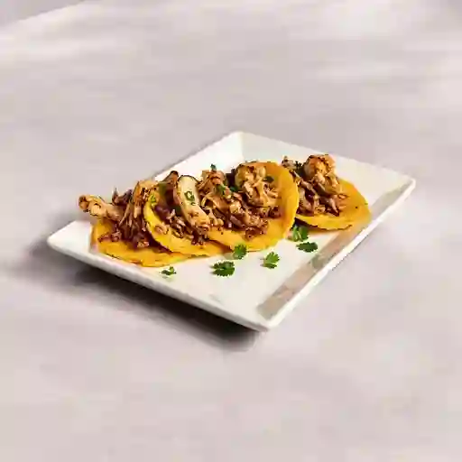 Patacon Verde O Amarillo Sencillo