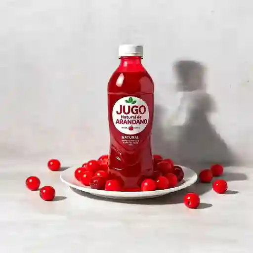 3.Jugo Natural De Arandano 400ml