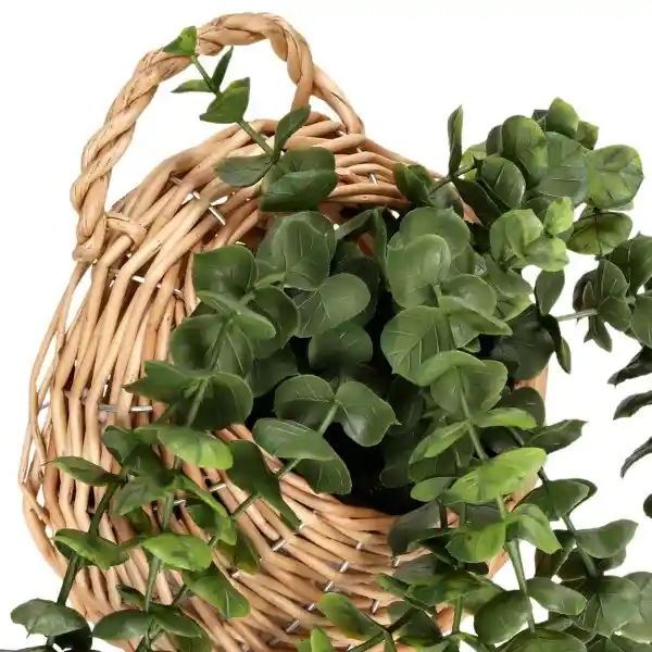 Suculenta Colgante Con Maceta de Fibra Casaideas