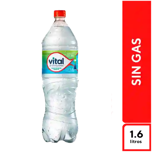 Vital Sin Gas 1.6 L